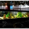 6 аквариумов 